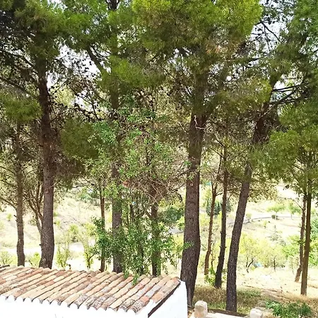 Casa Rural Monte Verde Illana Extérieur photo