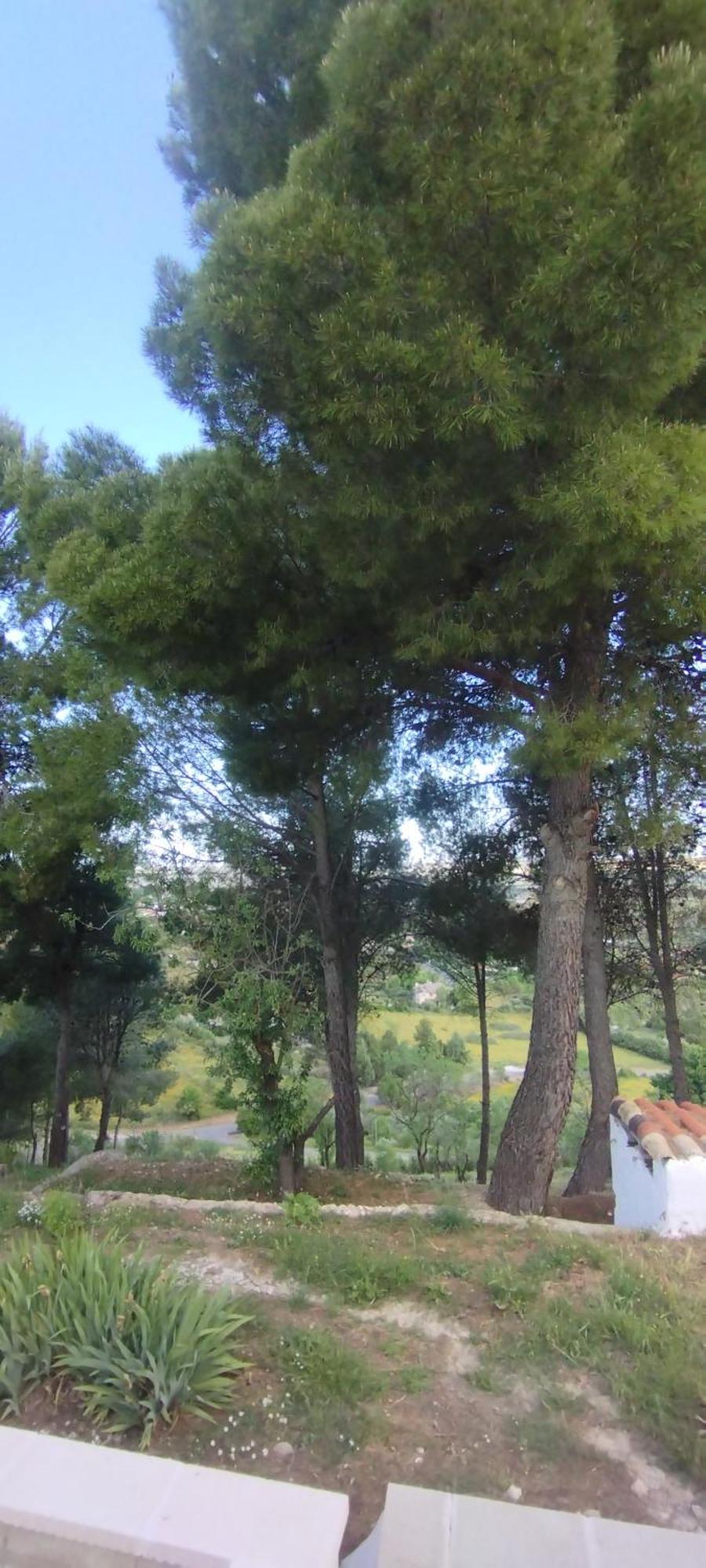 Monte Holiday home *